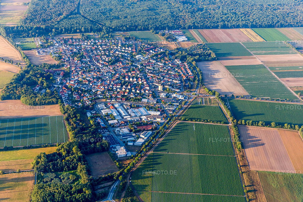 Luftbild: Ortsansicht am Rande von landwirtschaftlichen Feldern und Nutzflächen in Hüttenfeld im Ortsteil Hüttenfeld in Lampertheim im Bundesland Hessen in Deutschland. Foto: IMG_109467.jpg vom 31.07.2018 durch Werner Riehm/FLY-FOTO.de