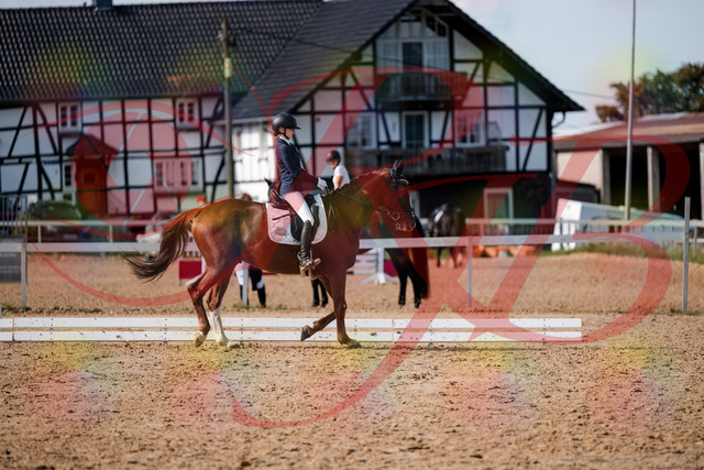 2026_10_03_Siefer-Hof_132902_Z63_90951145 | Professionelle Reitsport-, Turnier- und Eventfotografie von Robert Broda. Galerien mit ausgewählten und bearbeiteten Bildern direkt online ansehen und bestellen.