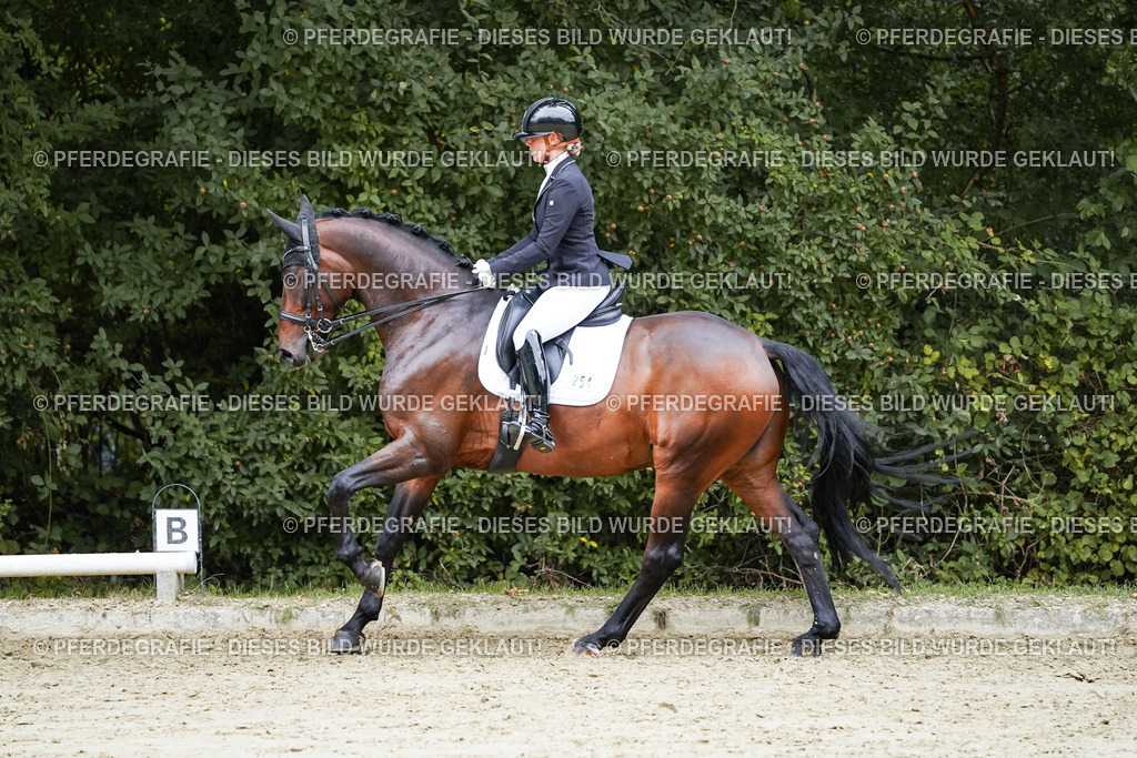 DSC09736 | Pferdegrafie