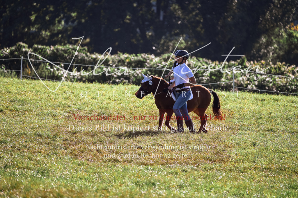 DSC_0472 | Pferde- und Turnierfotografie in Westsachsen. Pferdeportraits, Auftragszeichnungen und intuitive Kunst.