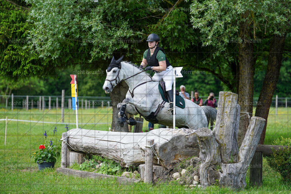 20240518-FAH03767 | Turnierbilder von Niederseon, Turnierfotografen Bayern, Fotoagentur Herrmann, Geländebilder, Reitsportfotografie