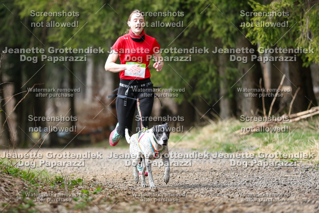 Dog Paparazzi - VCC26-402 | Dog Paparazzi Jeanette Grottendiek Fotografie & Videografie - Realisiert mit Pictrs.com