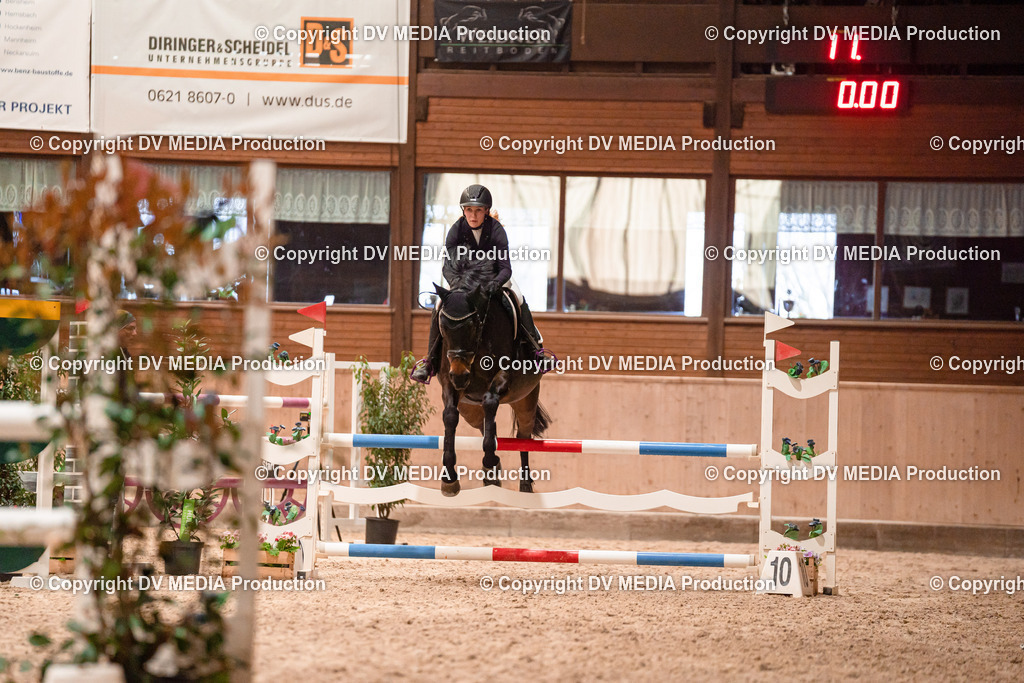 Springen Tag 3-087 | dv-media-shop - Realisiert mit Pictrs.com