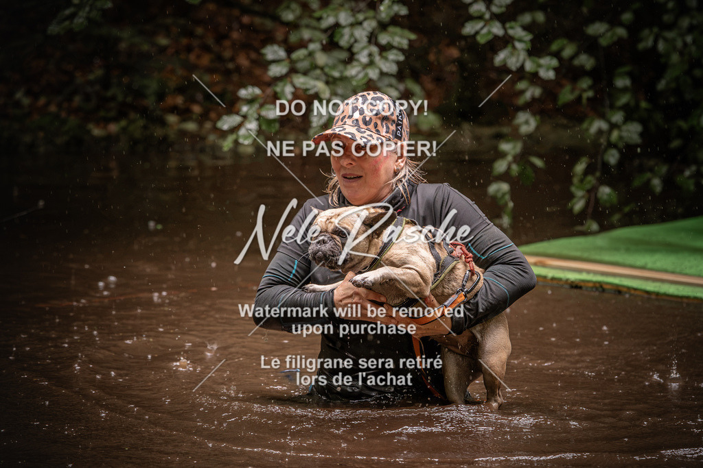 nelerasche_Wingst_Sa1330-1400_123 | nelerasche