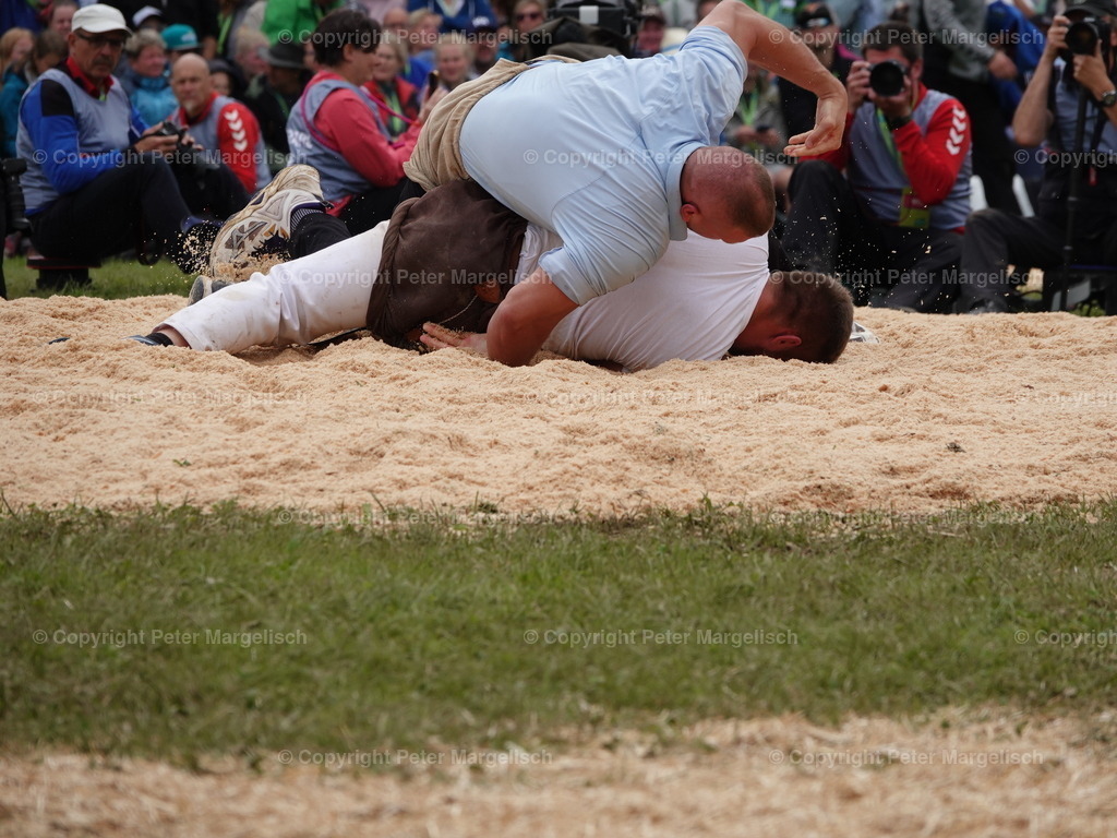 DSC08108 | Schwingen - Realisiert mit Pictrs.com