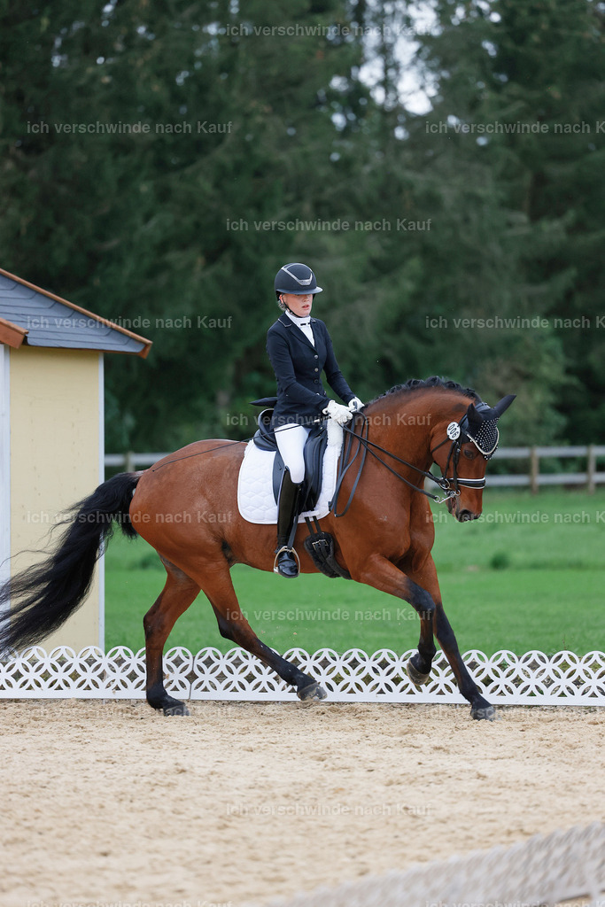 04_2-006-Dressur M__ -StoibPH-2981 | working equitationturnier fotograf videograf stoibphotography marixx film working equitation deutschland reitsport turnierfotografie eventfotografie equestrian events