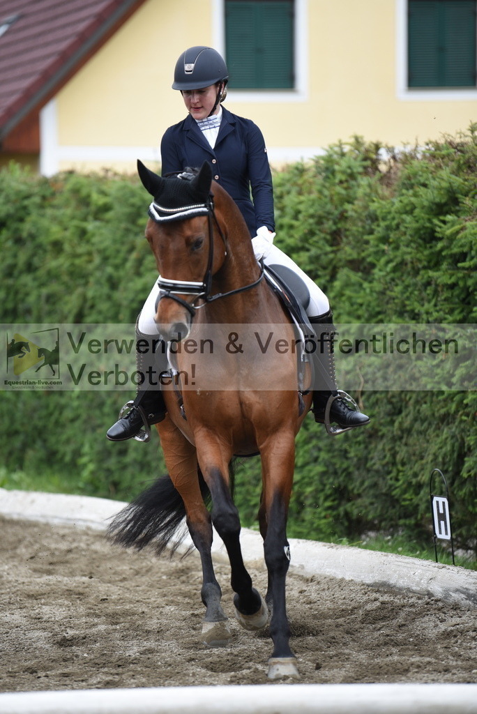 DSC_4255 | equestrian-live-com