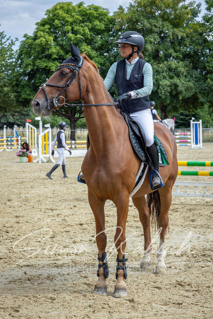 20260704-_3LI0975 | Tierfotografie Pferde, Hunde, Katzen, Haustiere.
Turnierfotografie Reitturniere, Reiten, Springreiten, Dressur in Hanau, dem Main-Kinzig-Kreis und dem Rhein-Main- Gebiet um Frankfurt