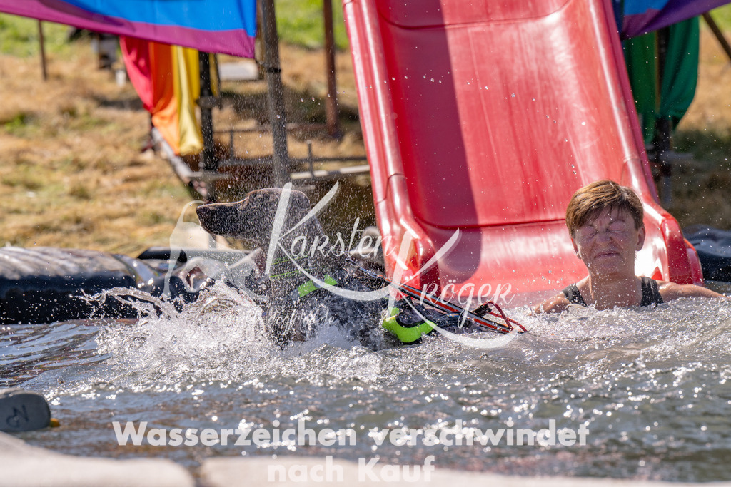 1218_ZZ91547 | kk-dogfotos