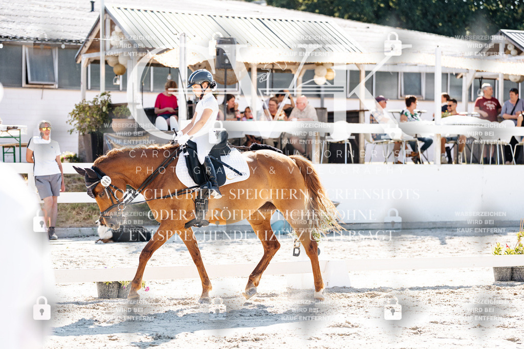 CK903304 | Turnierfotografie Pferdefotografie Trier Rheinland-Pfalz Pferdesport Reitsport Tierfotografie Sportfotografie Pferdevideo Pferdevideografie Equestrianvideography equestrianphotography  - Realisiert mit Pictrs.com
