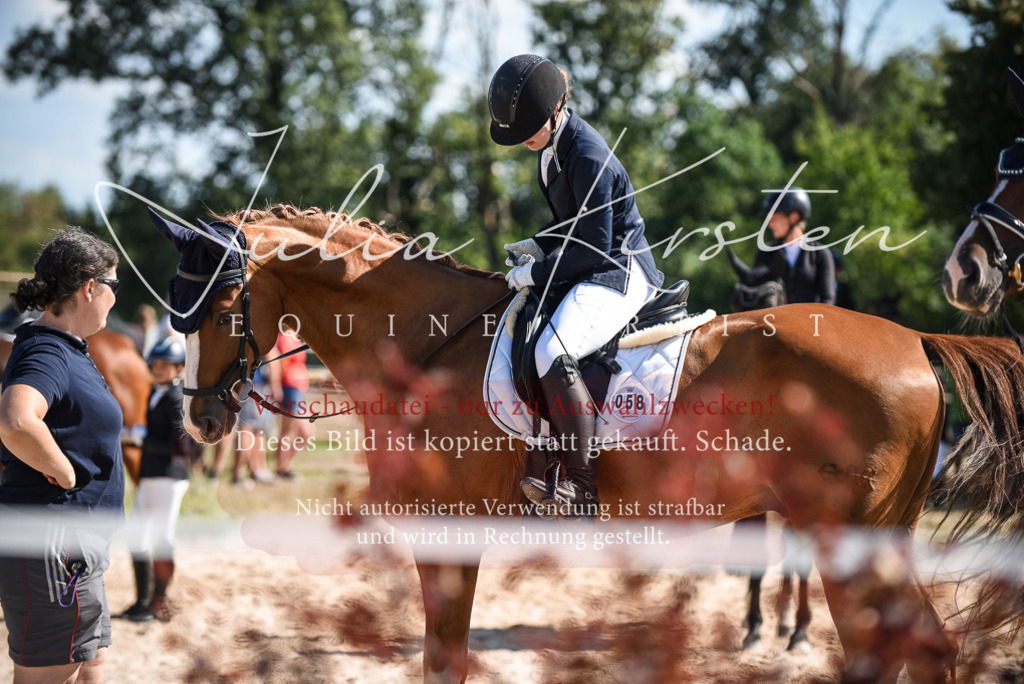 DSC_9696 | Pferde- und Turnierfotografie in Westsachsen. Pferdeportraits, Auftragszeichnungen und intuitive Kunst.