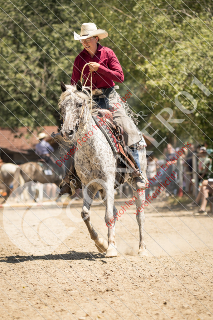 IMG_9476 | Sport-, Event- und Tierfotos in Profiqualität. Einfach auswählen, bestellen und herunterladen. Dein Moment – perfekt festgehalten.