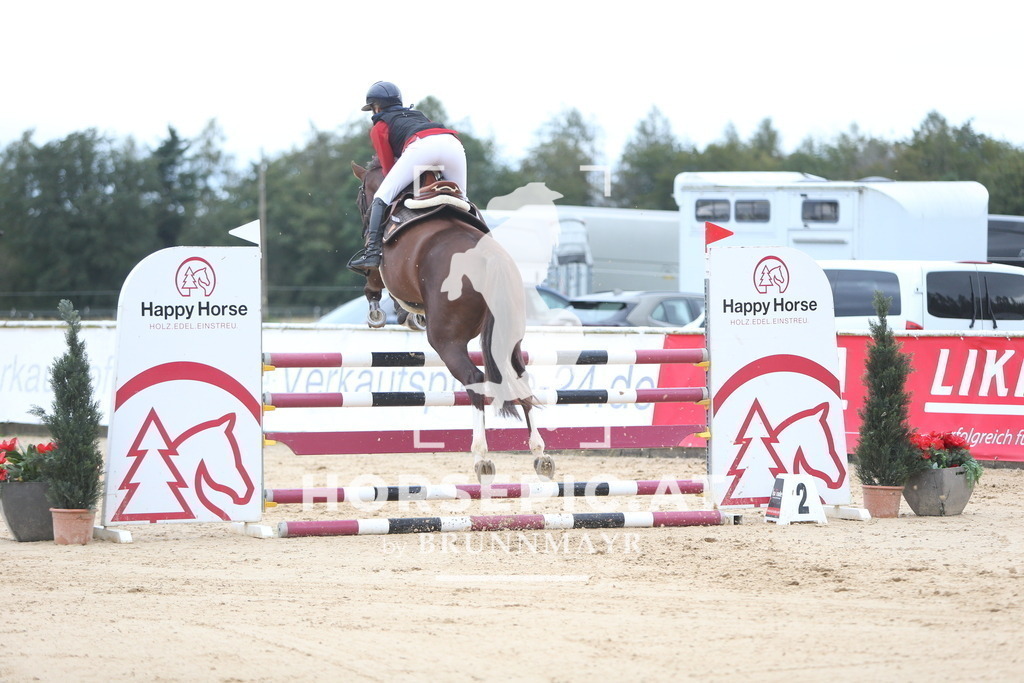 DL2Q3353 | Willkommen bei Brunnmayr - Design & Fotografie – Ihrem Spezialisten für Reitturniere und Pferdeveranstaltungen in Oberösterreich, Salzburg und Bayern! Seit über 17 Jahren sind wir leidenschaftlich dabei.
