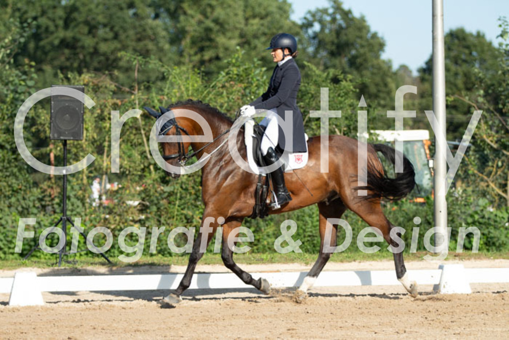 IMG_5666 | Creatify Fotografie