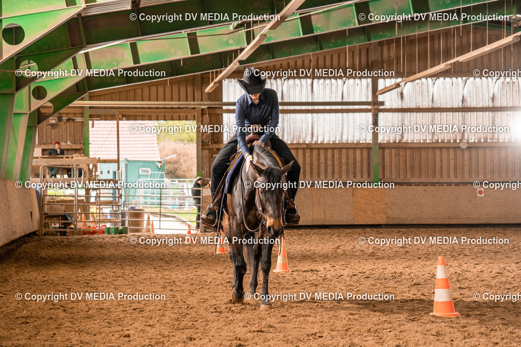 BAL00552 | dv-media-shop - Realisiert mit Pictrs.com