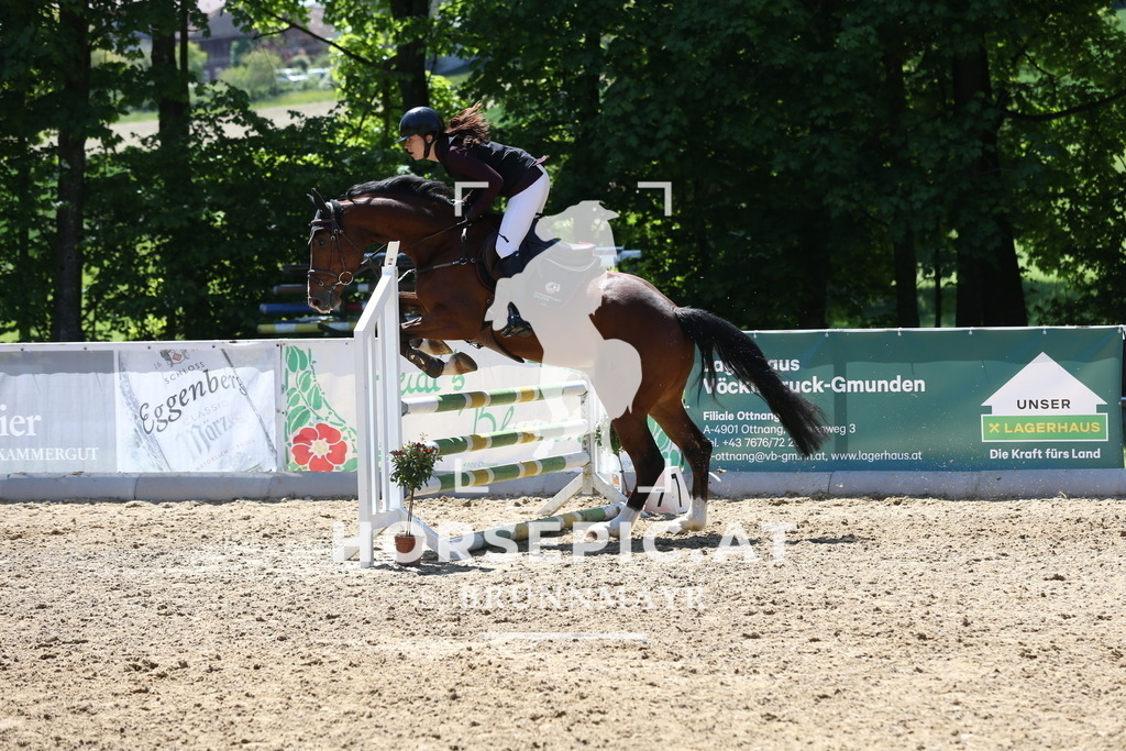 DL2Q1383 | Willkommen bei Brunnmayr - Design & Fotografie – Ihrem Spezialisten für Reitturniere und Pferdeveranstaltungen in Oberösterreich, Salzburg und Bayern! Seit über 17 Jahren sind wir leidenschaftlich dabei.