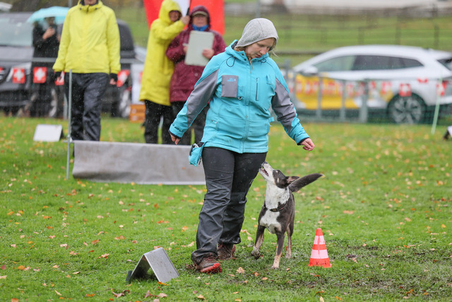 2025_Rally_Obedience_SM-241 | Ich fotografiere Hundeausstellungen, Sportanlässe, Zuchtstätten, Hundezucht, Hundeportrait, Lagotto - Realisiert mit Pictrs.com