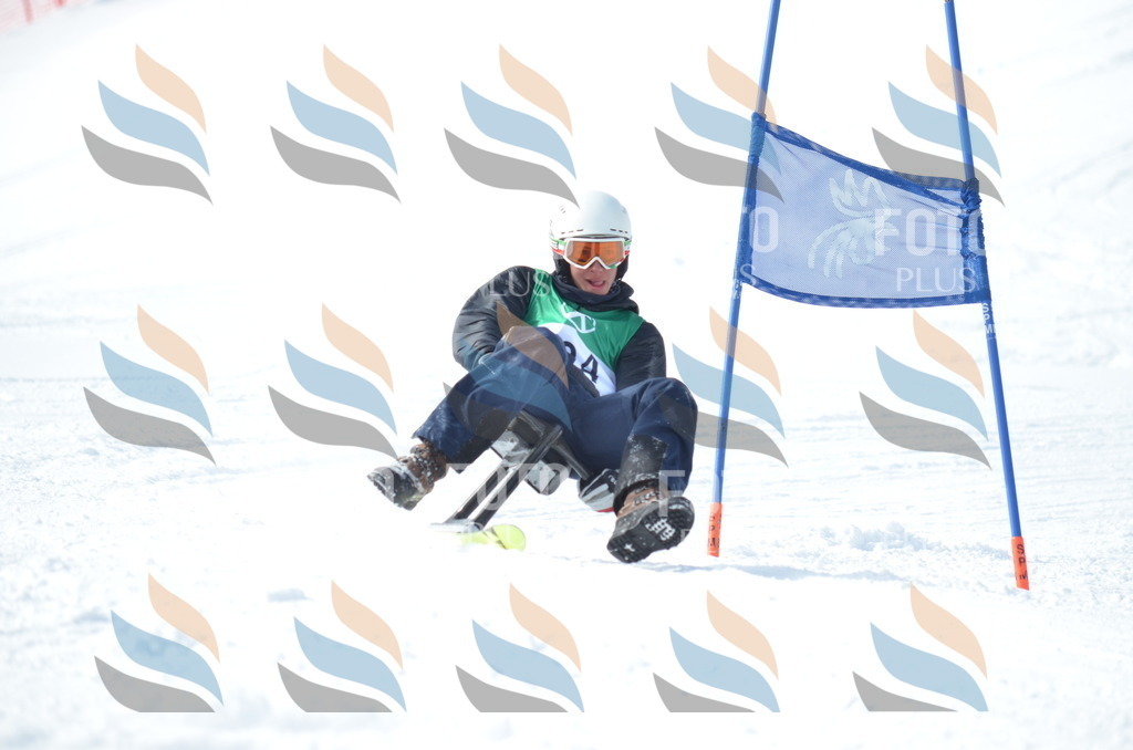 D9285 | holidayphoto