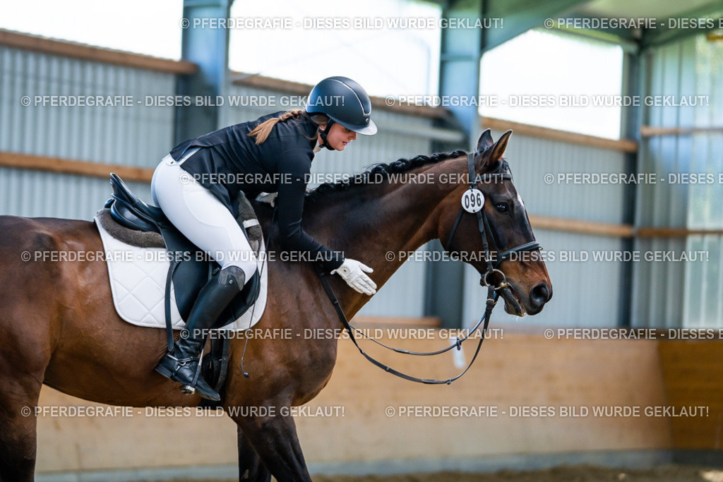 DSC05761 | Pferdegrafie