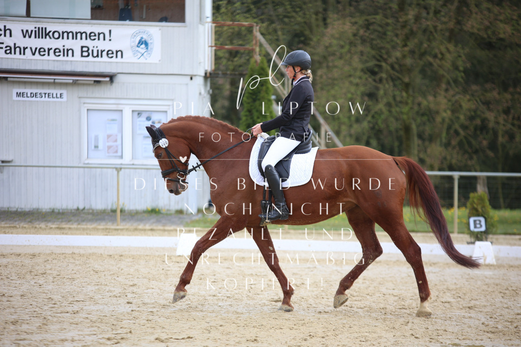 IMGT5251 | pl-fotografie