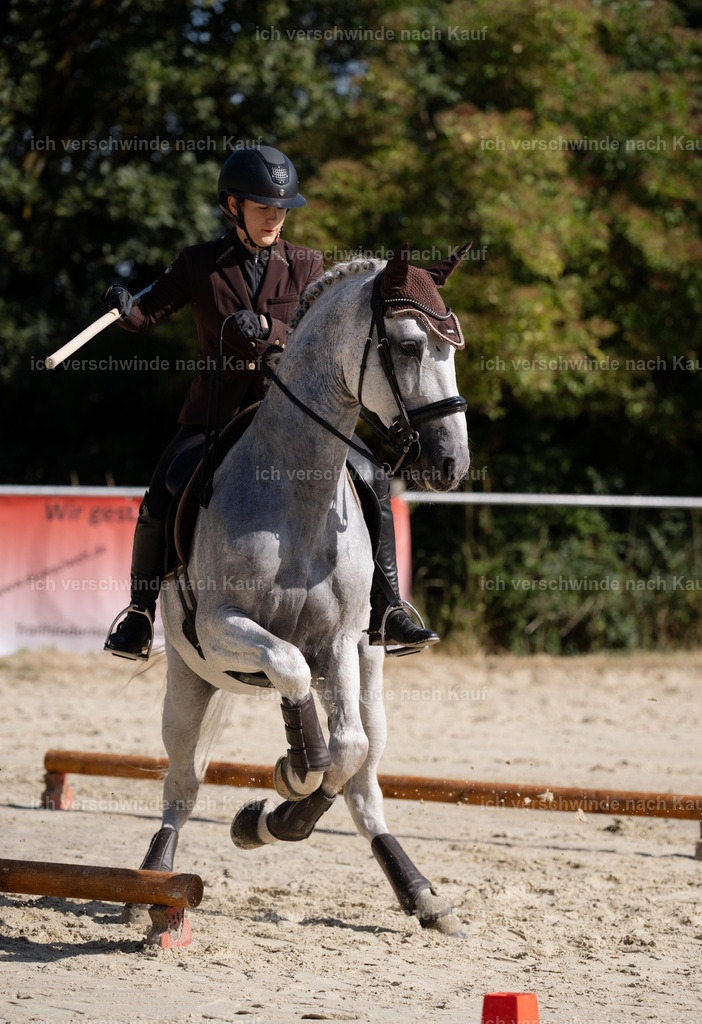 WM_ST_143_stoibphotography__SO10240 | working equitationturnier fotograf videograf stoibphotography marixx film working equitation deutschland reitsport turnierfotografie eventfotografie equestrian events