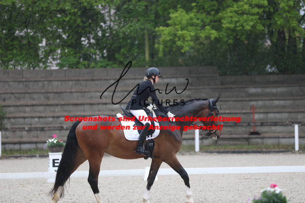 A40A7482 | lmwpictures - Realisiert mit Pictrs.com