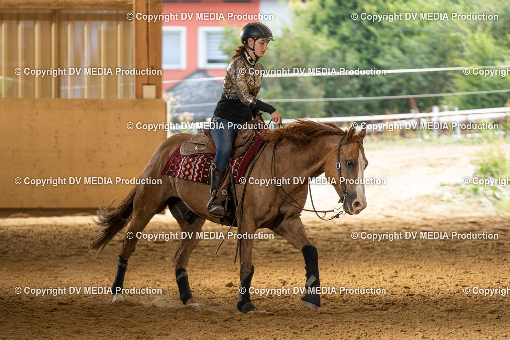 LAU01790 | dv-media-shop - Realisiert mit Pictrs.com