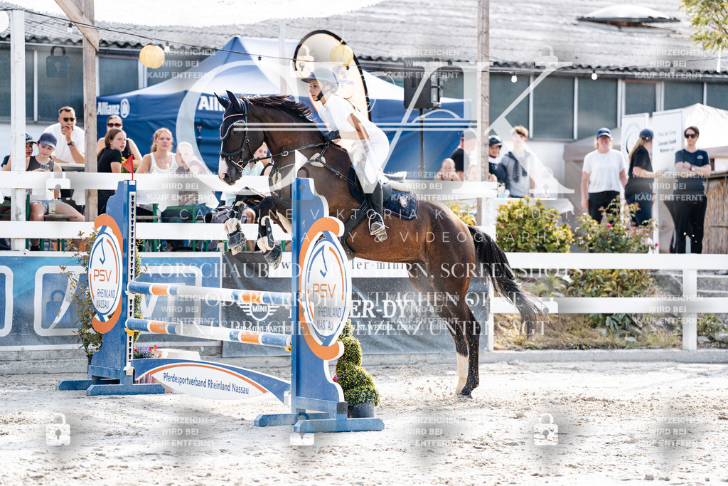 CK905927 | Turnierfotografie Pferdefotografie Trier Rheinland-Pfalz Pferdesport Reitsport Tierfotografie Sportfotografie Pferdevideo Pferdevideografie Equestrianvideography equestrianphotography  - Realisiert mit Pictrs.com