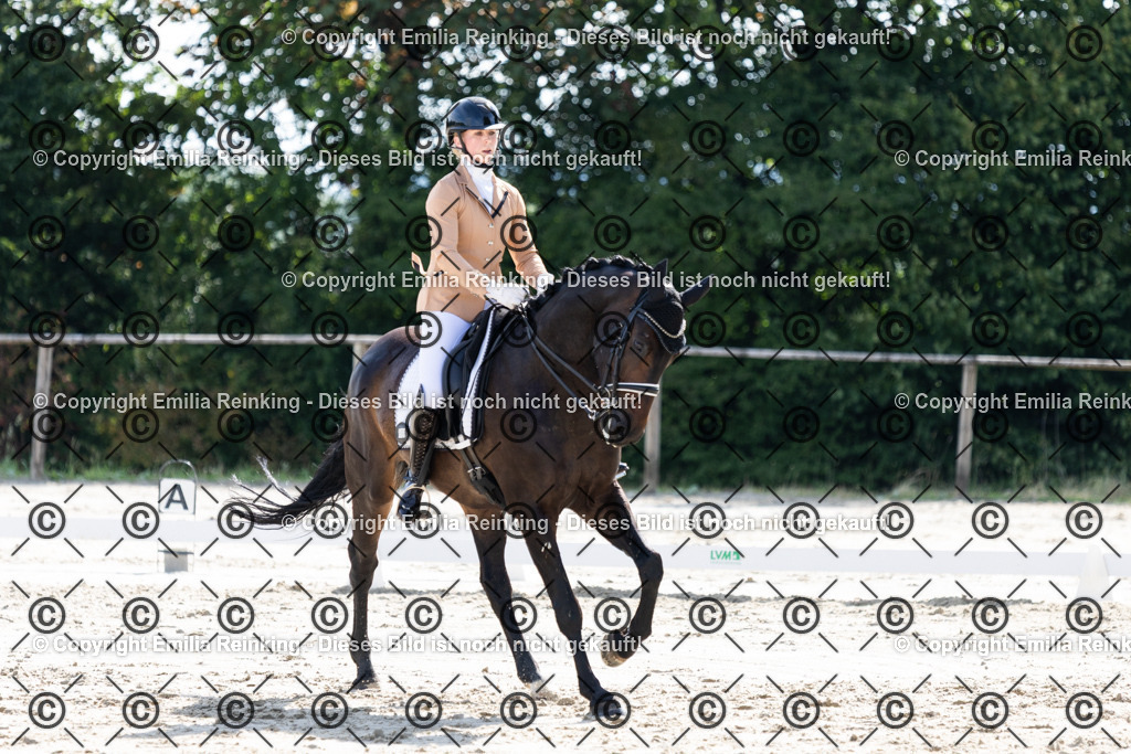 CL5A5804 | Emilia Reinking Fotografie - Realisiert mit Pictrs.com