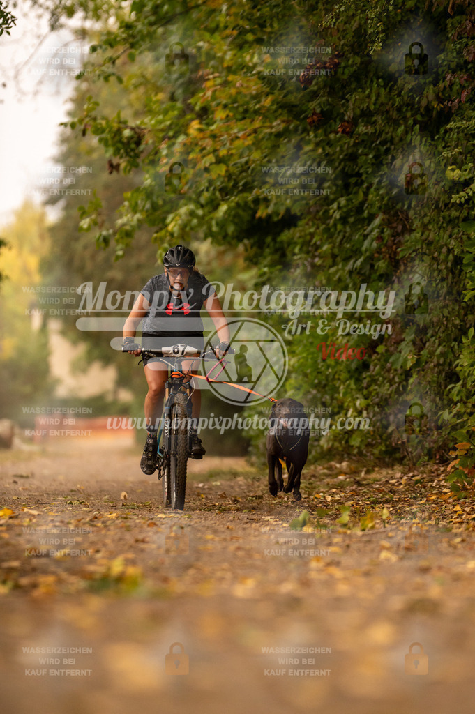 CDLBDB_14_10_2023_Samedi-94 | PayLife