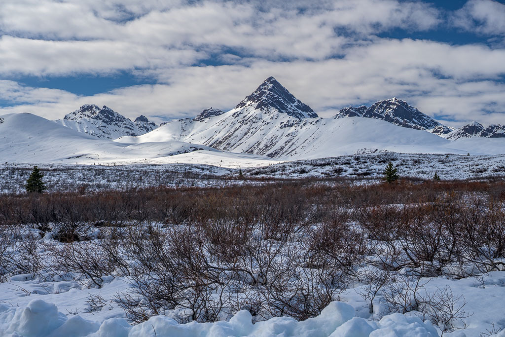 Alaska | Denali Highway - Realisiert mit Pictrs.com