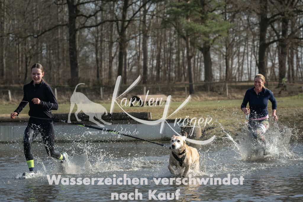 1258_ZZ93459 | kk-dogfotos