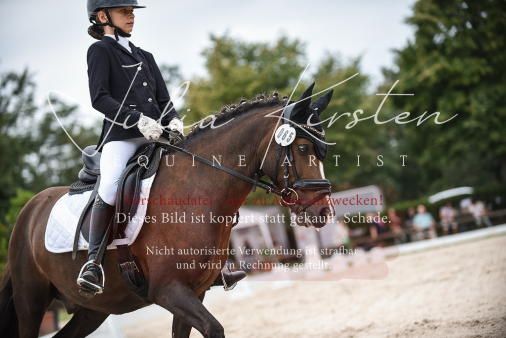 DSC_8131 | Pferde- und Turnierfotografie in Westsachsen. Pferdeportraits, Auftragszeichnungen und intuitive Kunst.