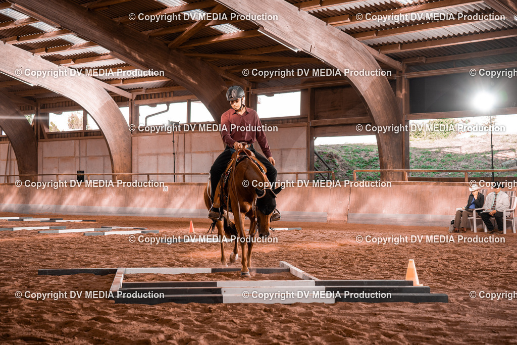 NE300105 | dv-media-shop - Realisiert mit Pictrs.com