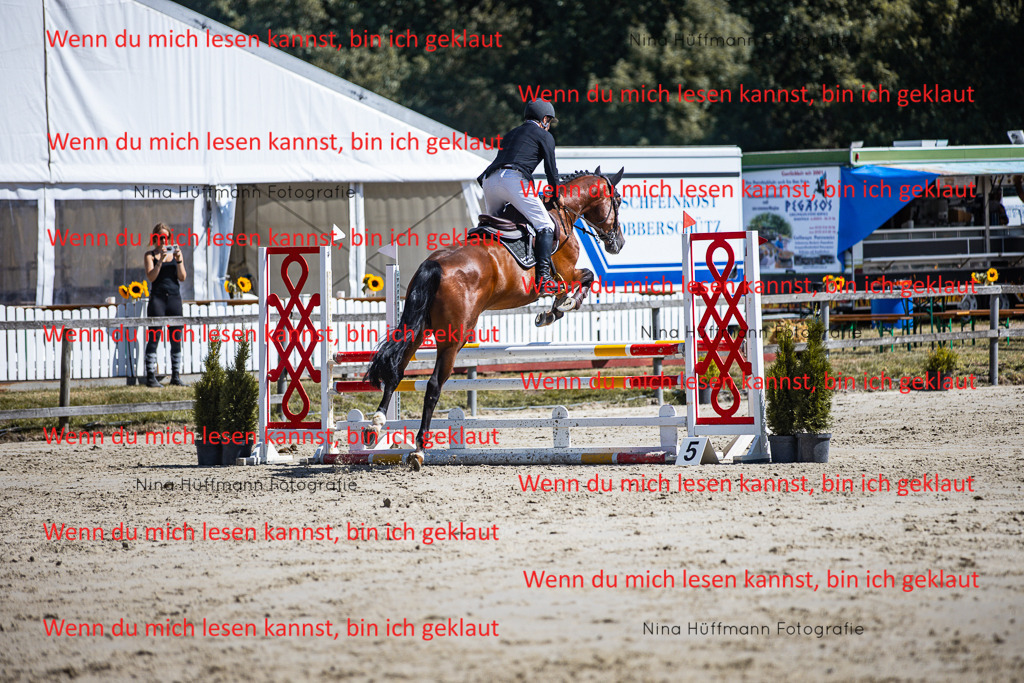 BK1A5252 | Turnierbilder Turnierfotos Nina Hüffmann Turnierfotografie Pferdefotografie Tierzeichnung Haustierzeichnung Pferdezeichnung Hundezeichnung Videograf  - Realisiert mit Pictrs.com