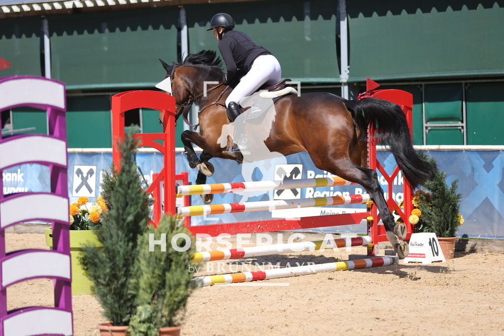 0P6A8147 | Willkommen bei Brunnmayr - Design & Fotografie – Ihrem Spezialisten für Reitturniere und Pferdeveranstaltungen in Oberösterreich, Salzburg und Bayern! Seit über 17 Jahren sind wir leidenschaftlich dabei.