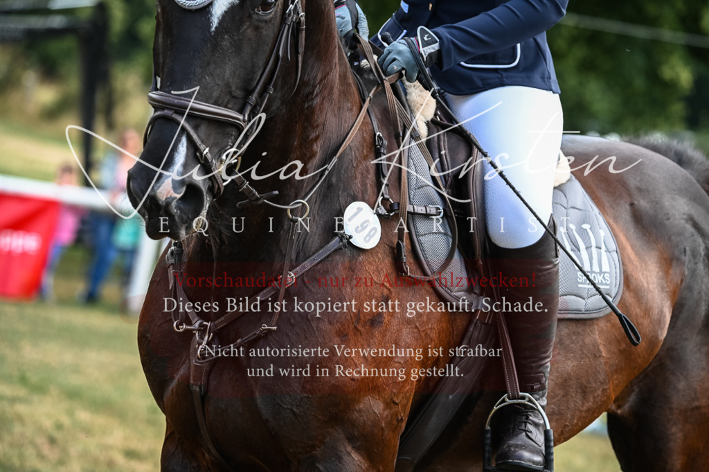 DSC_8117 | Pferde- und Turnierfotografie in Westsachsen. Pferdeportraits, Auftragszeichnungen und intuitive Kunst.