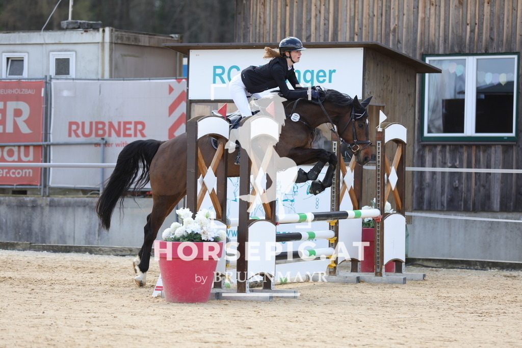 0P6A7477 | Willkommen bei Brunnmayr - Design & Fotografie – Ihrem Spezialisten für Reitturniere und Pferdeveranstaltungen in Oberösterreich, Salzburg und Bayern! Seit über 17 Jahren sind wir leidenschaftlich dabei.