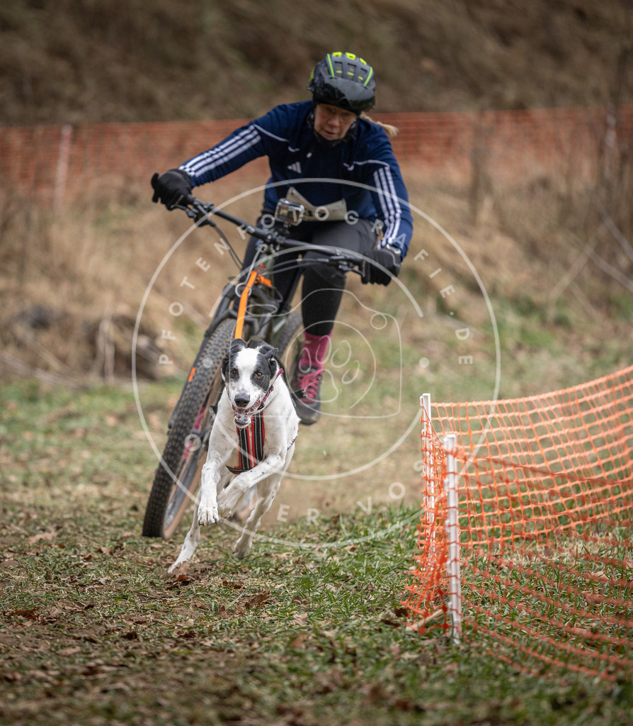 Pfotenfotografie_DV3A5148 | Hundefotografie, Tierfotograf, Pfotenfotografie, Fotoshooting Hund, Hunde Portrait, Hundesport, Hundeportraits, Heideshooting, Hunde, Sportfotograf, Hundefotograf, Turnierhundsport, THS,  - Realisiert mit Pictrs.com
