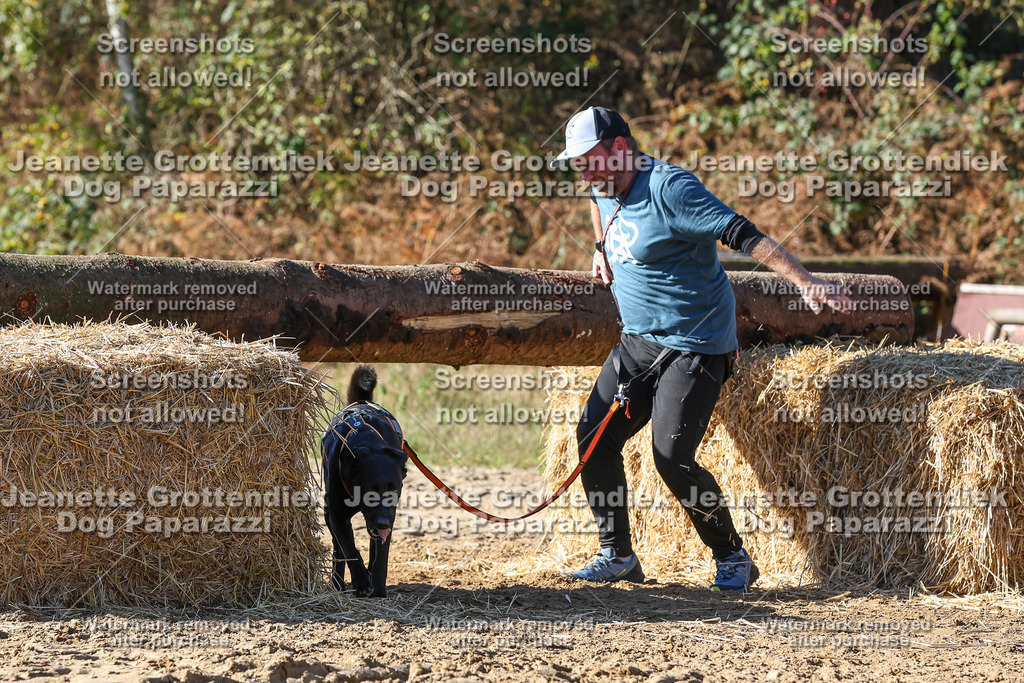 Dog Paparazzi - Strongdog 10-25-2831 | Dog Paparazzi Jeanette Grottendiek Fotografie & Videografie - Realisiert mit Pictrs.com