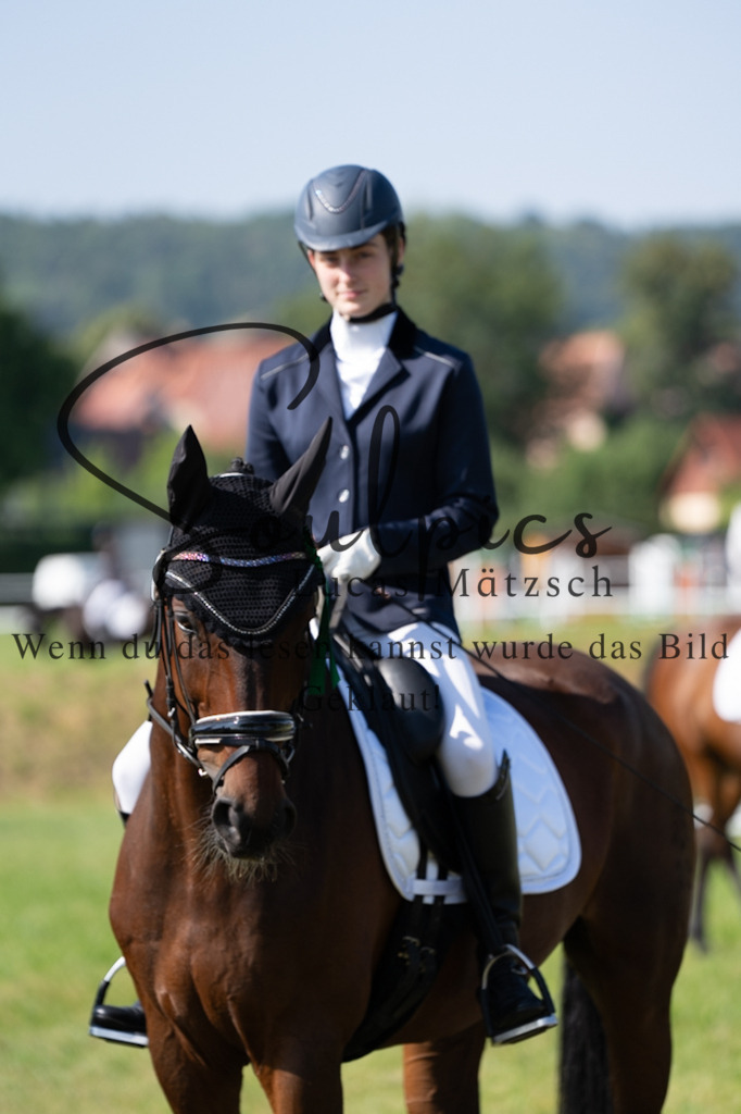 A7V09534 | Pferdefotograf