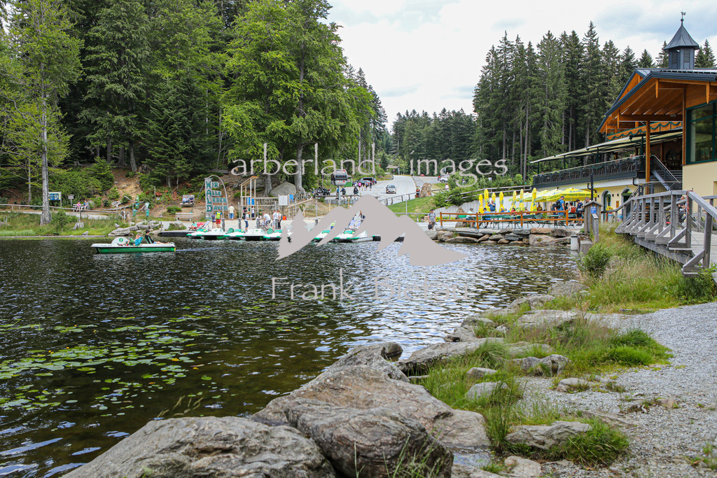 OE7A0076 | Medien- Sport- Entertainmentfotos