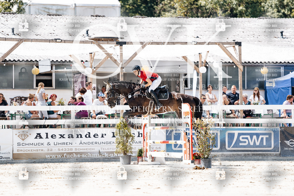 CK909720 | Turnierfotografie Pferdefotografie Trier Rheinland-Pfalz Pferdesport Reitsport Tierfotografie Sportfotografie Pferdevideo Pferdevideografie Equestrianvideography equestrianphotography  - Realisiert mit Pictrs.com