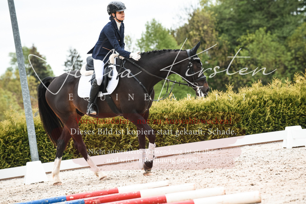 20230518_JK-Röhrsdorf-10-490 | Pferde- und Turnierfotografie in Westsachsen. Pferdeportraits, Auftragszeichnungen und intuitive Kunst.