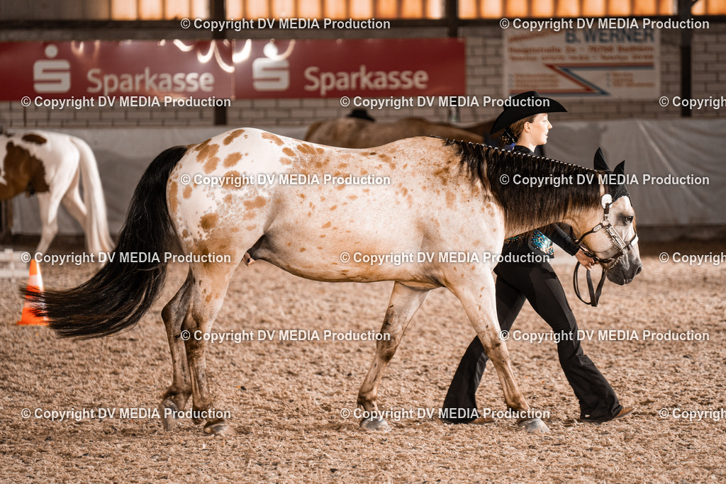 ZH200221 | dv-media-shop - Realisiert mit Pictrs.com