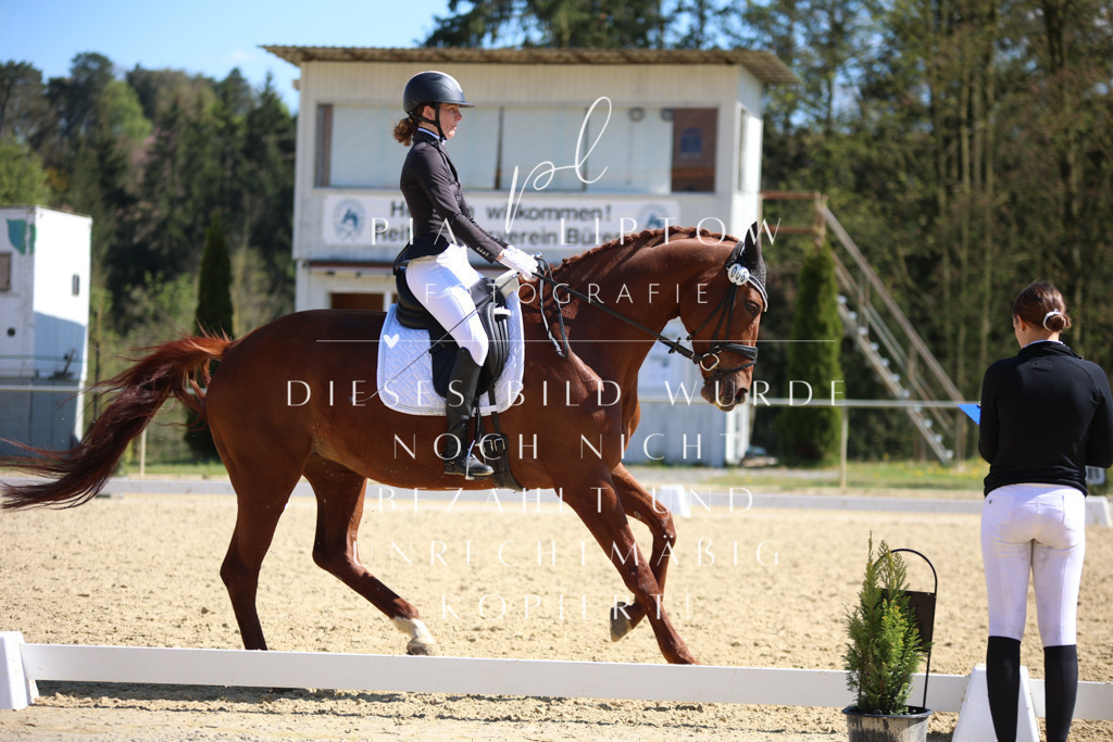 IMGT7947 | pl-fotografie