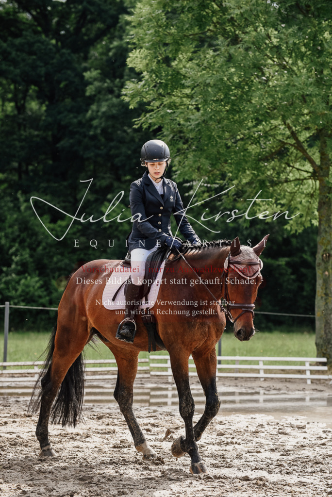 DSC_9645 | Pferde- und Turnierfotografie in Westsachsen. Pferdeportraits, Auftragszeichnungen und intuitive Kunst.
