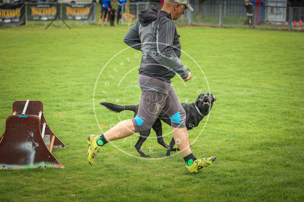 Pfotenfotografie_0L8A9559 | Hundefotografie, Tierfotograf, Pfotenfotografie, Fotoshooting Hund, Hunde Portrait, Hundesport, Hundeportraits, Heideshooting, Hunde, Sportfotograf, Hundefotograf, Turnierhundsport, THS,  - Realisiert mit Pictrs.com