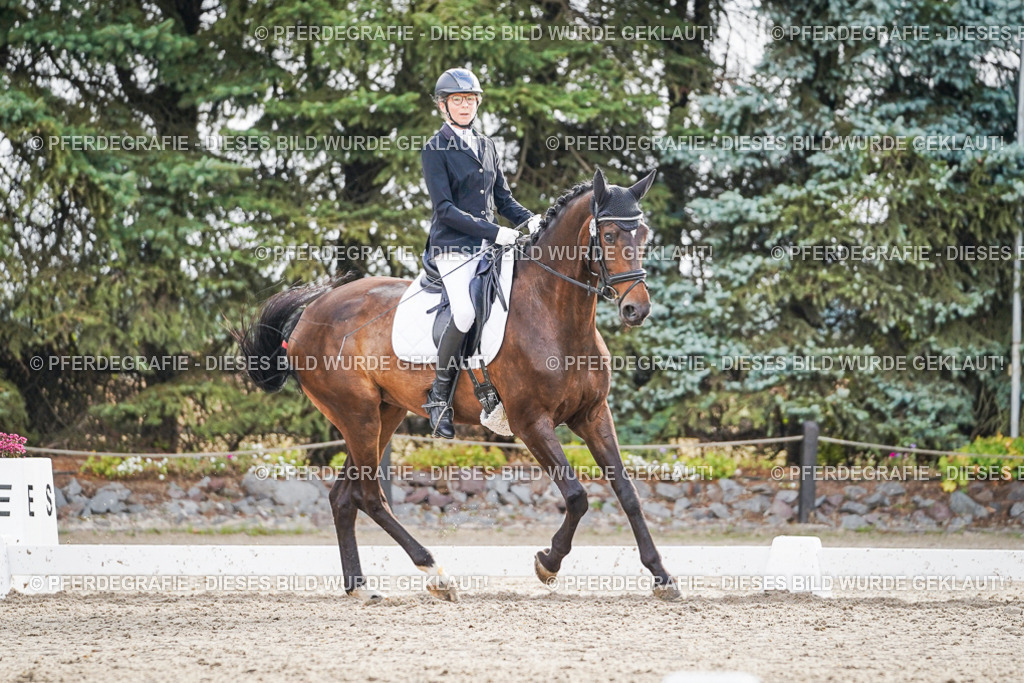 DSC00786 | Pferdegrafie