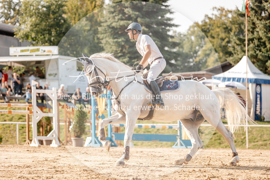 3I6A5075 | Stimmungsvolle Portraits und Reitsportfotografie im Ruhrgebiet und im Münsterland.

Pferdefotografie, Hundefotografie, Tierfotografie, Reportagen, Portraits von Tier und Mensch, Turnierfotografie in Bochum, Recklinghausen, Marl, Haltern am See, Dülmen.. - Realisiert mit Pictrs.com